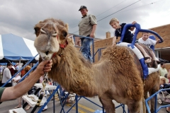 AI05Fest049:         	Louai and Ali Atrach seem to enjoy the beginning of their ride on “Clyde” who was making his second annual appearance at last weekend’s Arab International Festival on Warren Ave.