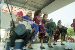 Arab American Festival; 1996.