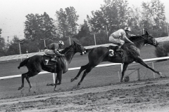 In 1977 Northville Downs held full racing. We followed the days of jockey Ramon Perez on the course, in practice and behind the scenes.