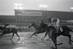 In 1977 Northville Downs held full racing. We followed the days of jockey Ramon Perez on the course, in practice and behind the scenes.