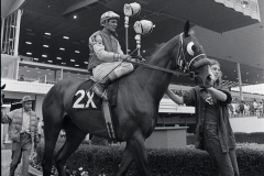 In 1977 Northville Downs held full racing. We followed the days of jockey Ramon Perez on the course, in practice and behind the scenes.